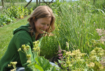 Lucy Vertue - Little World Herbs, Woodchurch Kent.